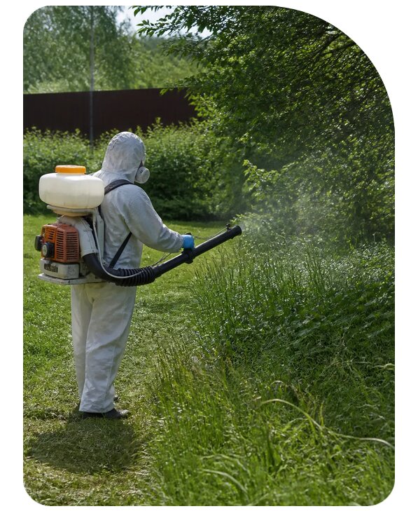 Уничтожение клещей на участке в Урае по цене от 5211 р. | Сенат-Урй